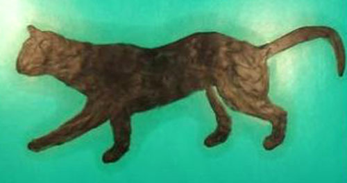 черный кот - рисунок из пластилина