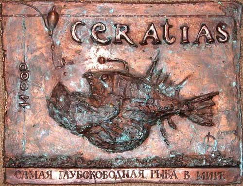 Самая глубоководная рыба в мире. Денис Донченко.